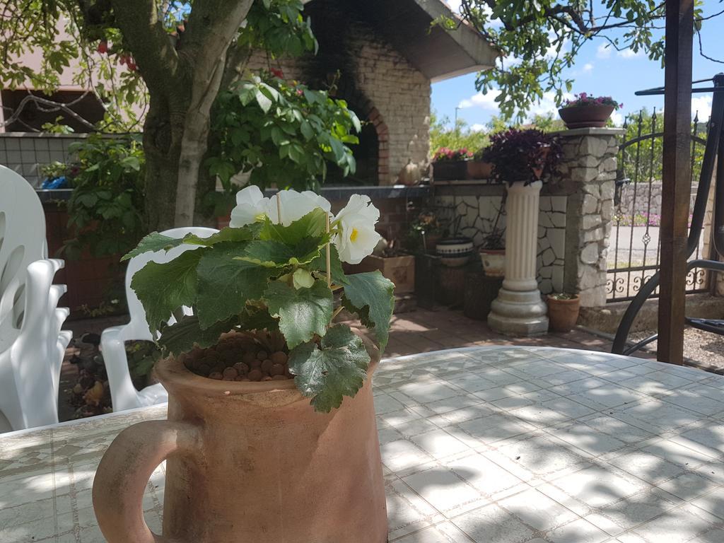 Apartment Adis Σίμπενικ Εξωτερικό φωτογραφία