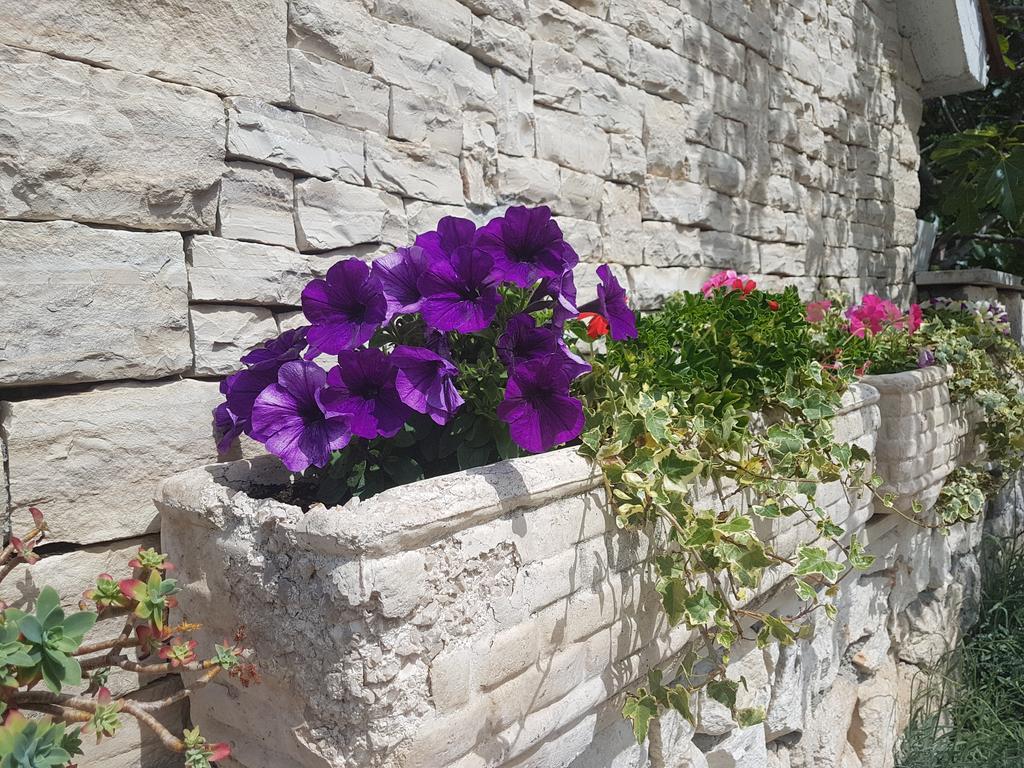 Apartment Adis Σίμπενικ Εξωτερικό φωτογραφία