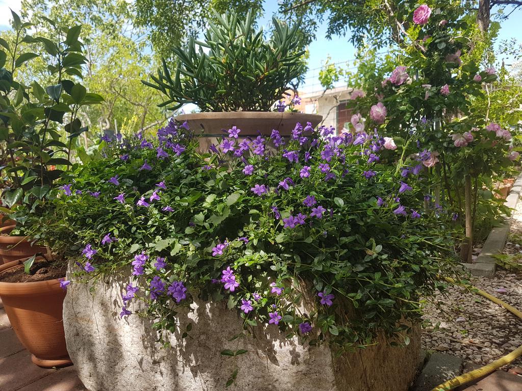 Apartment Adis Σίμπενικ Εξωτερικό φωτογραφία